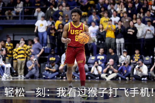 轻松一刻：我看过猴子打飞手机！